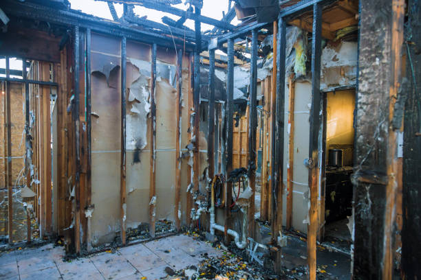 Professional Fire Damage Removal technician working in Camp Point, IL